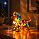 Radianza Dachshund -koira