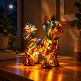 Säteilevä Yorkshire Terrier